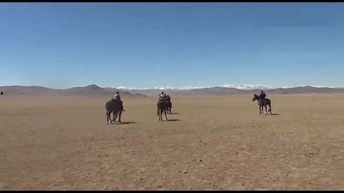 哈萨克赛马比赛视频,哈萨克赛马比赛的激情瞬间